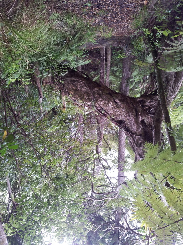 Image 1 capa do hotel