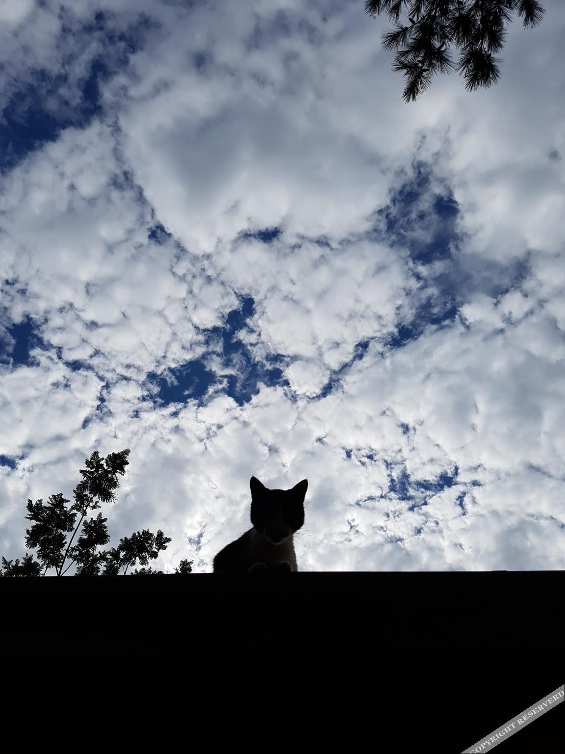 Image 4 capa do hotel