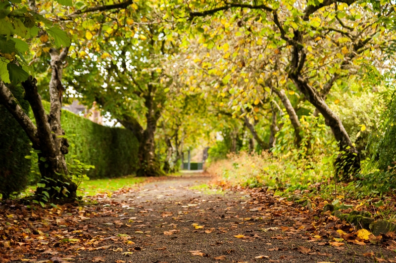 Image 1 capa do hotel