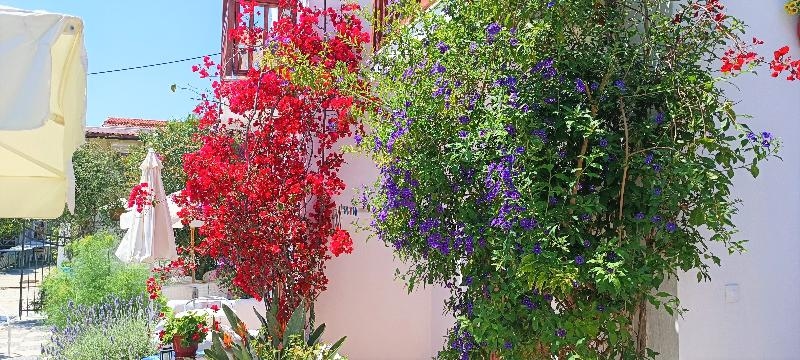 Image 2 capa do hotel