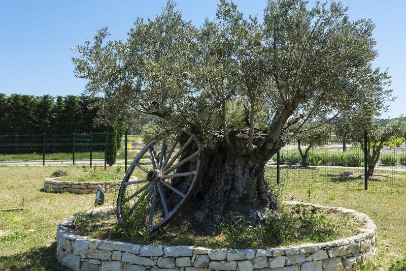 Image 1 capa do hotel