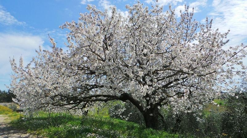 Image 3 capa do hotel