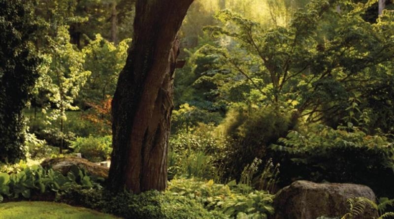 Image 2 capa do hotel