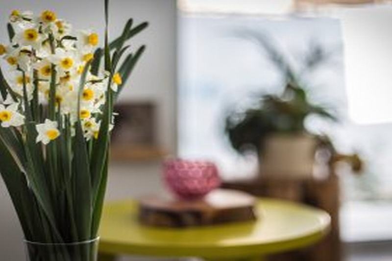 Image 2 capa do hotel