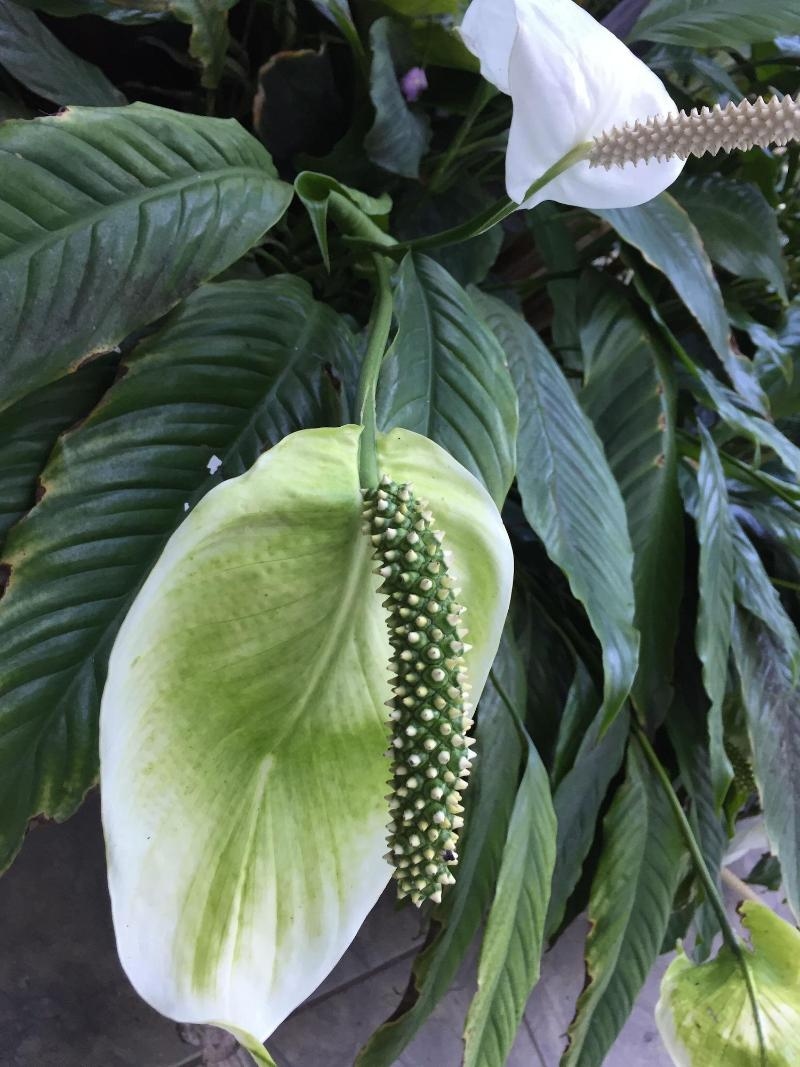 Image 3 capa do hotel