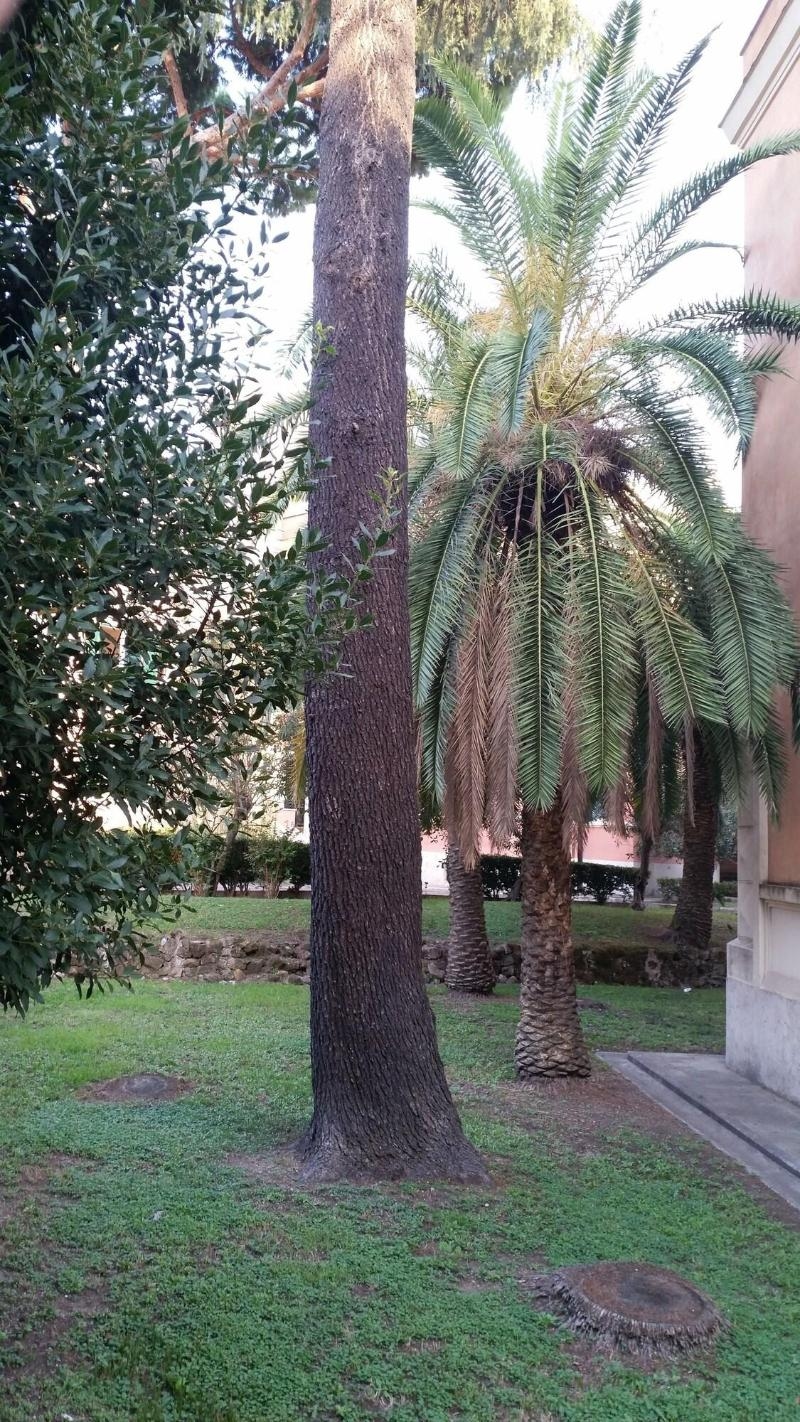 Image 4 capa do hotel