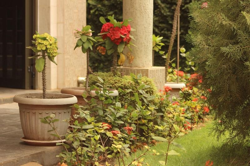 Image 4 capa do hotel